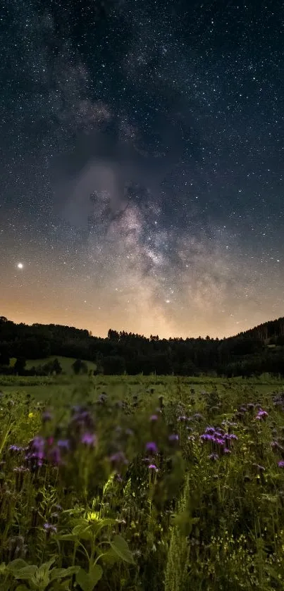 Starry night sky over a vibrant meadow.