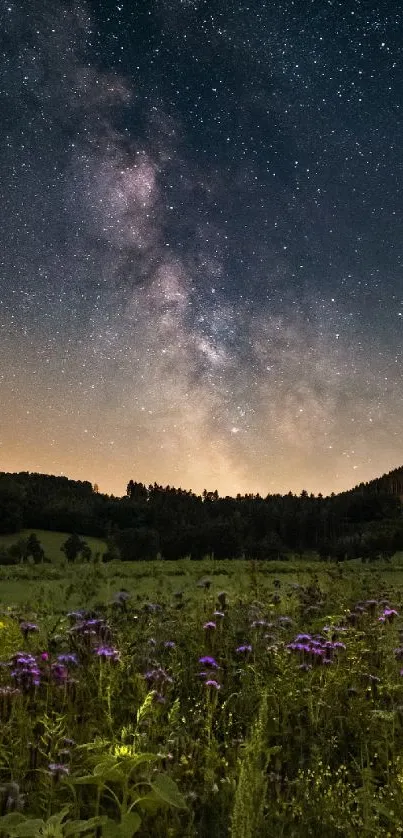 Starry night sky over a field with flowers in stunning nature scenery.