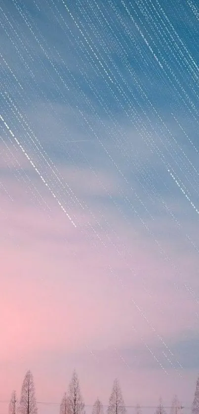 Pastel blue sky with star trails and silhouetted trees.