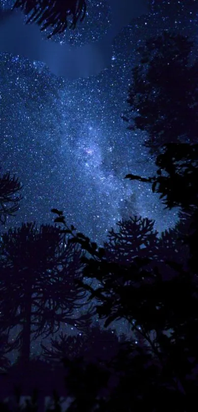 Starry night sky and silhouetted trees wallpaper.