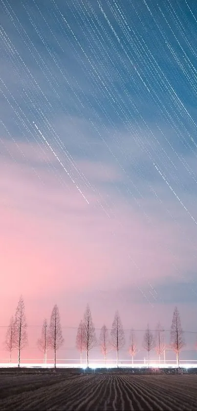 Starry sky with trails over silhouetted trees.