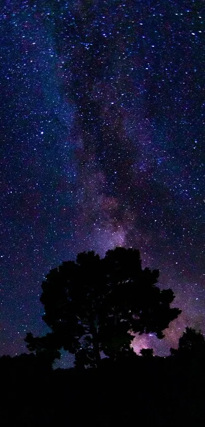 Silhouetted trees against a starry night sky with vibrant purple hues.