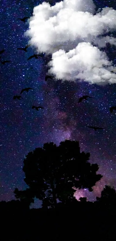 Starry night sky with birds silhouette wallpaper.