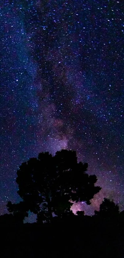 Starry night sky with tree silhouettes and galaxy view.