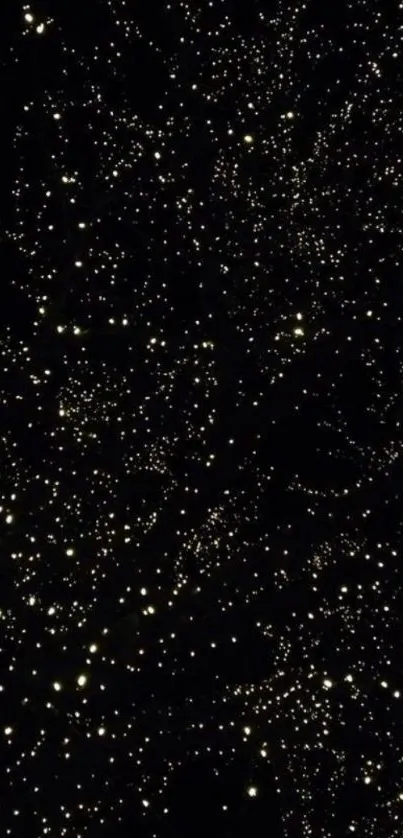 Starry night wallpaper with twinkling stars on a black background.