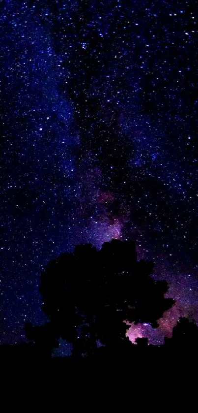 Silhouette against a starry night sky with galaxy view in mobile wallpaper.