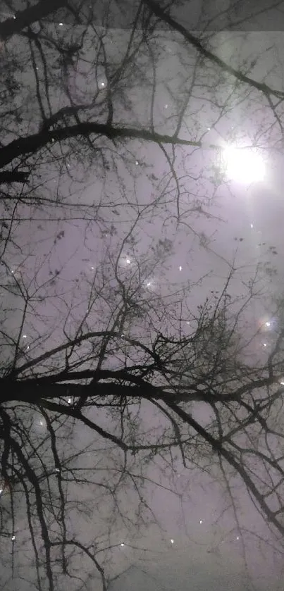 Silhouetted tree branches under a starry night sky with celestial lights.