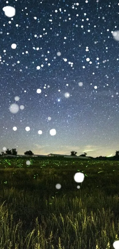 Starry night sky over a serene field.