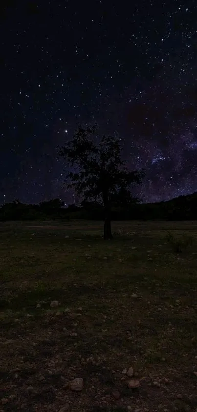 Stunning dark landscape with starry night sky and lone tree.