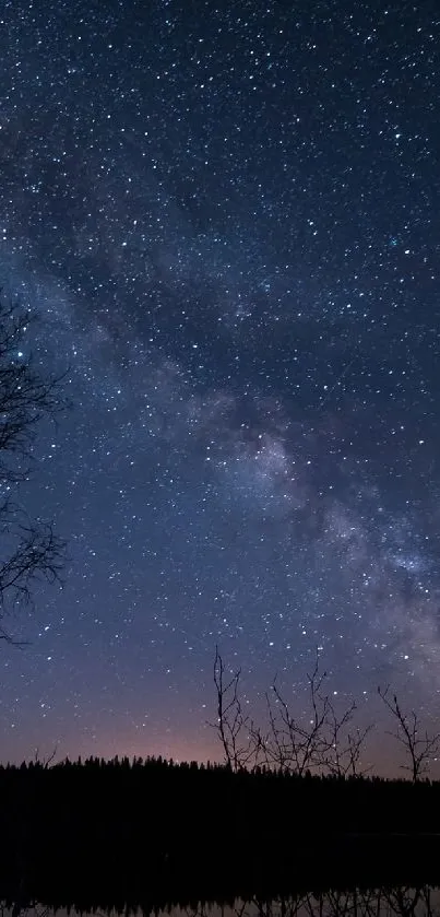 Starry night sky with Milky Way over trees and water reflection.