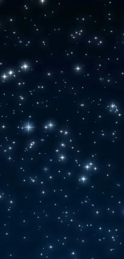 Starry night sky wallpaper with twinkling stars on a dark blue background.