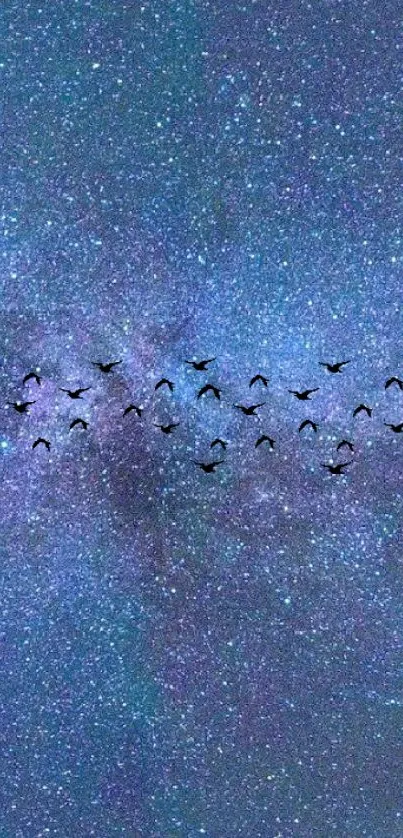 Blue starry night sky with flying birds.