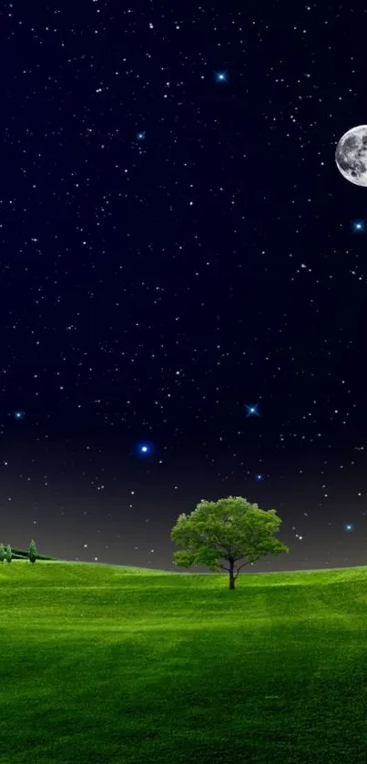 Starry night sky wallpaper with moon over grassy field.