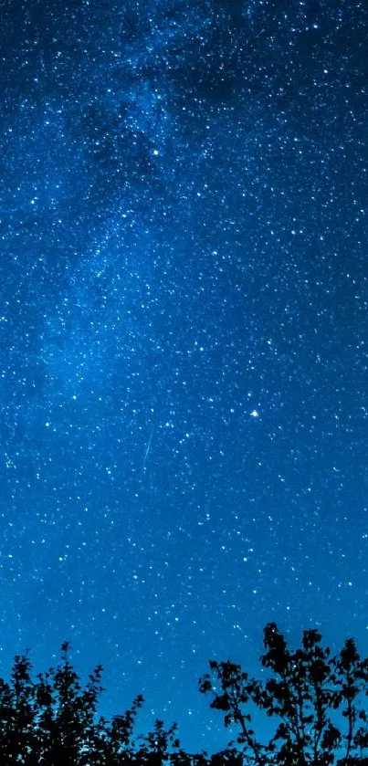 A vivid image of a starry night sky with bright stars and a deep blue background.