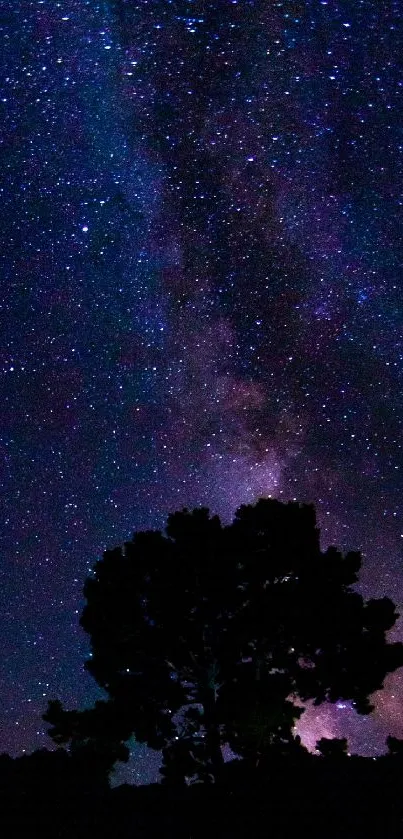 Silhouette of trees under a starry night sky with Milky Way view.