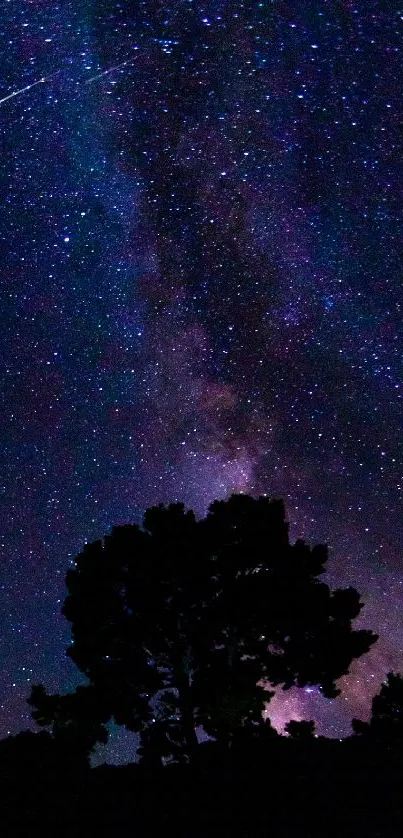 Starry night sky with silhouetted tree in foreground.