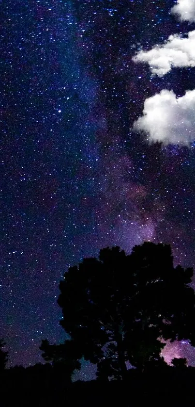 Starry night sky with silhouettes and clouds, vibrant purple hues.