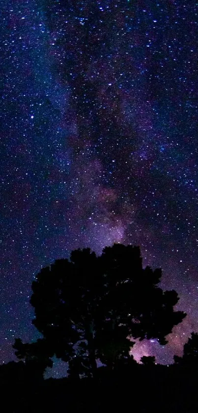 Silhouette of trees against a starry night sky and Milky Way galaxy.