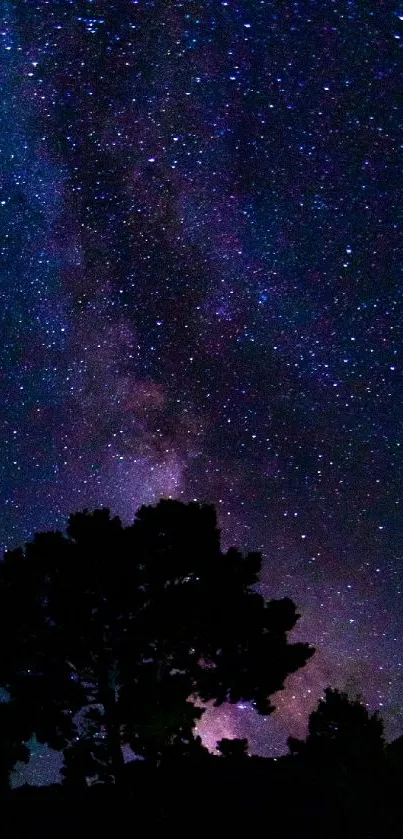 Starry night sky with silhouetted trees in a cosmic wallpaper.