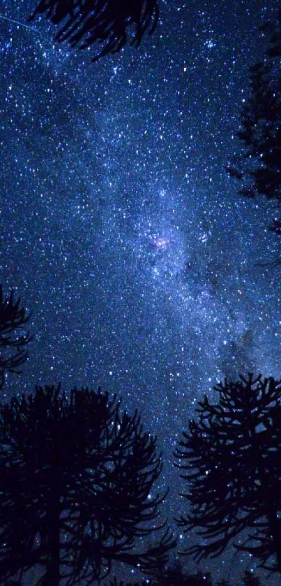 Starry night sky with trees silhouetted against the Milky Way.