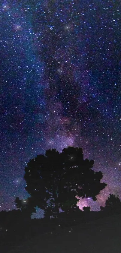 Starry night sky with Milky Way and trees silhouetted.