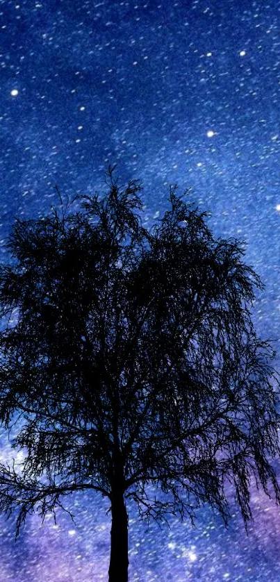 Silhouette of a tree against a starry blue night sky.