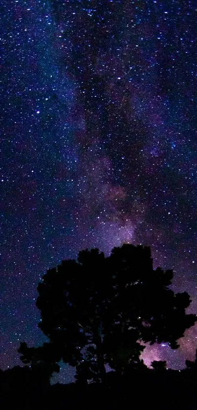 Milky Way and starry night sky with silhouetted trees.