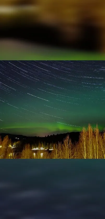 Starry night sky with aurora over a forest landscape wallpaper.