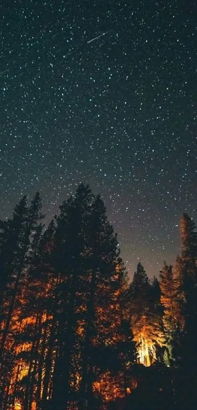 Starry night sky with silhouetted trees wallpaper