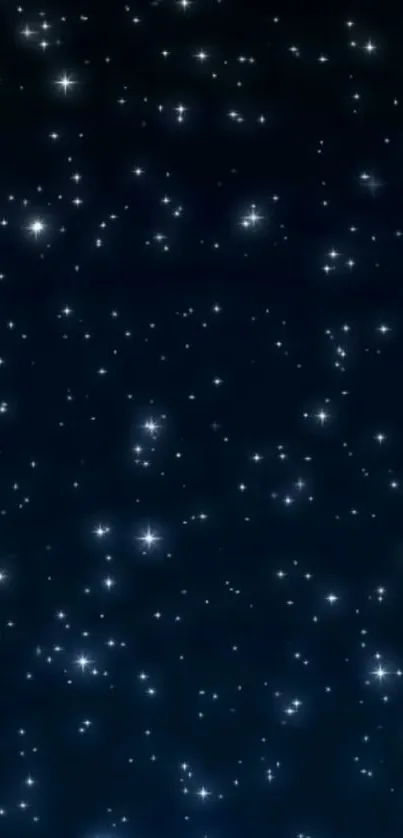 Starry night sky wallpaper with sparkling stars on a deep blue background.