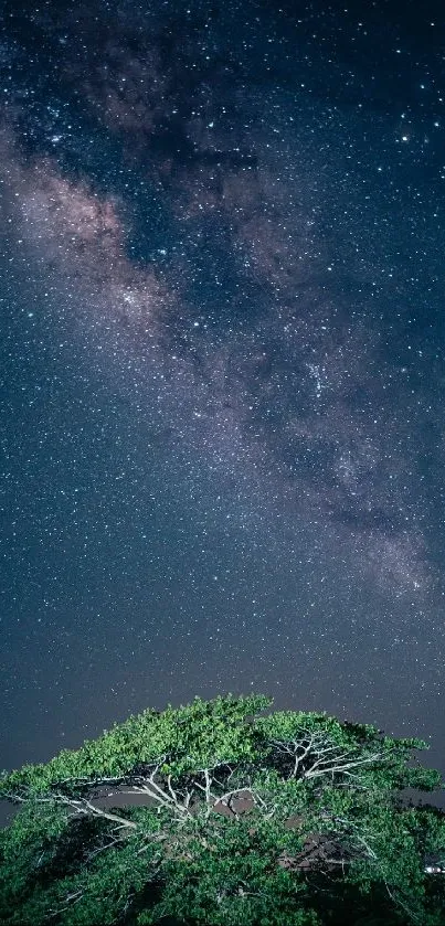 Lush green tree under a star-filled night sky with the Milky Way.