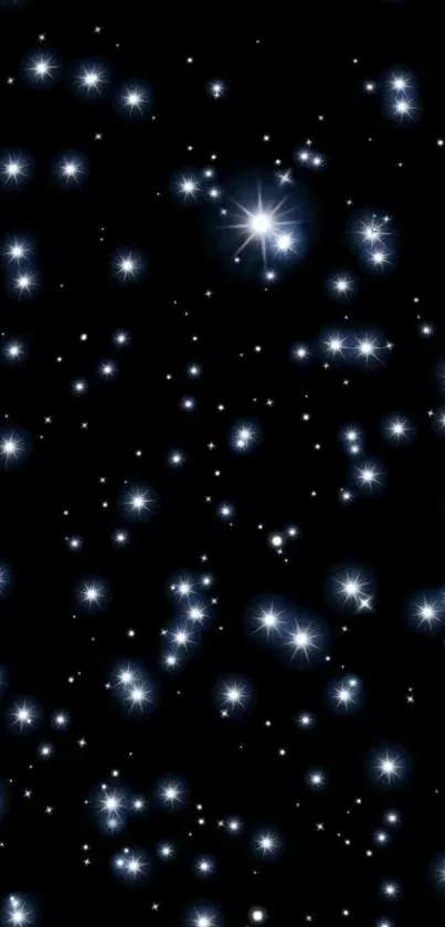 Night sky filled with twinkling stars.