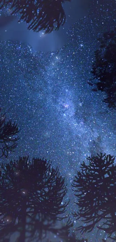 Starry night sky with silhouetted trees, perfect as a mobile wallpaper.