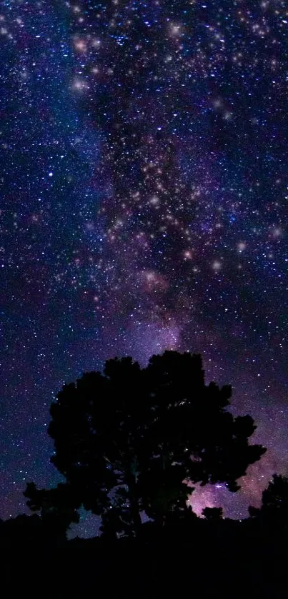 Stunning starry night sky wallpaper featuring a silhouetted tree.