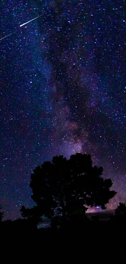 Starry night sky with tree silhouette against Milky Way.