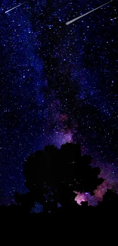 Starry night sky with silhouetted trees for mobile wallpaper.