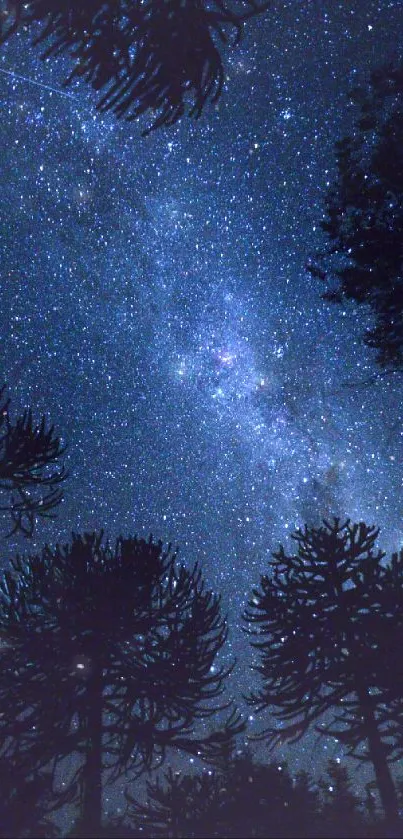 Starry night sky with silhouetted trees against a dark blue background.