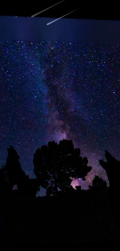 Silhouetted trees against a starry night sky with the Milky Way visible.