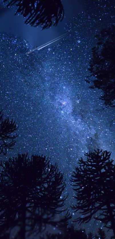 Starry night sky with silhouetted trees in foreground.