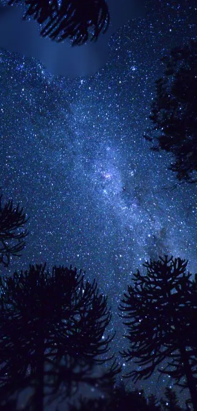 Starry night sky with silhouetted trees and galaxy view.