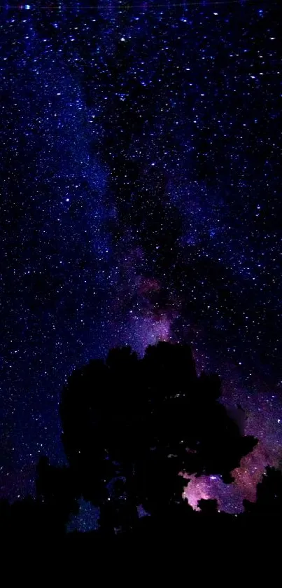 Silhouette of trees under a starry night sky with beautiful cosmic colors.