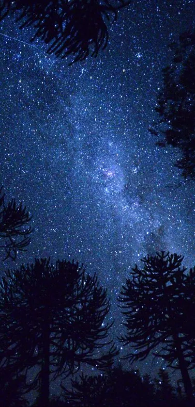 Starry night sky with dark silhouetted trees and galaxy view.