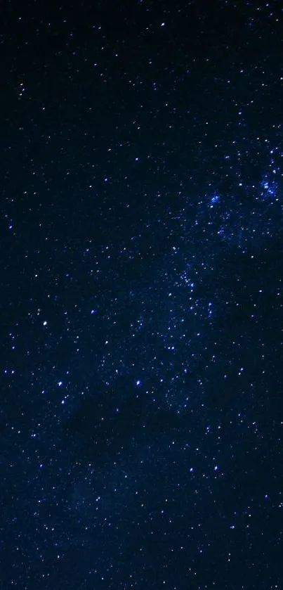 Starry night sky wallpaper with twinkling stars.