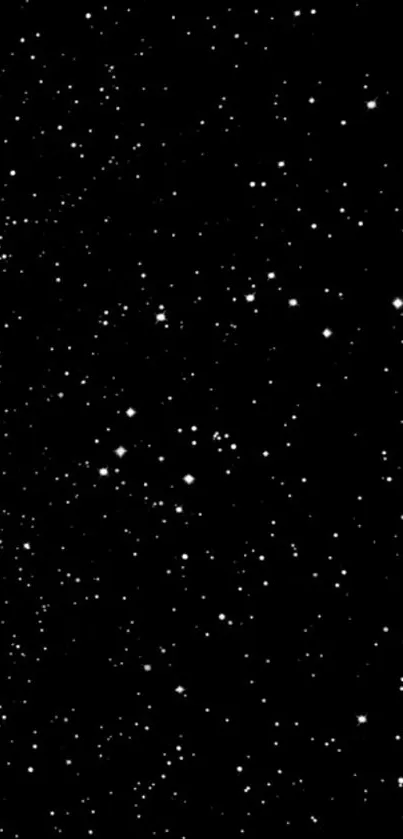 Starry night sky wallpaper with black background and bright white stars.