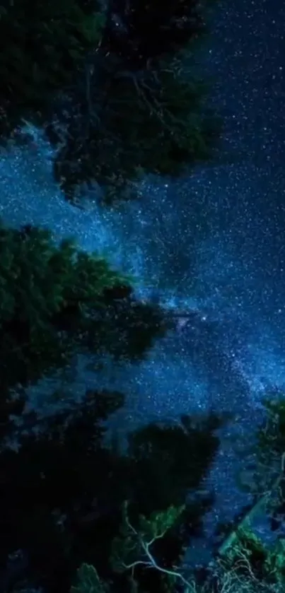 Starry night sky with silhouetted trees and galaxy backdrop.