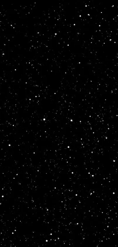 Starry black night sky wallpaper with shimmering stars.