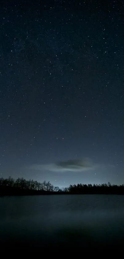 Starry night sky above a tranquil lake landscape.