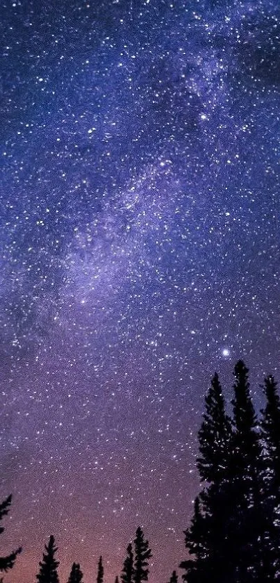 Starry night sky with Milky Way above silhouetted trees.