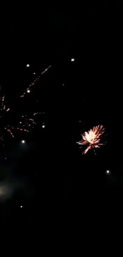 Fireworks illuminating a starry night sky against a dark backdrop.