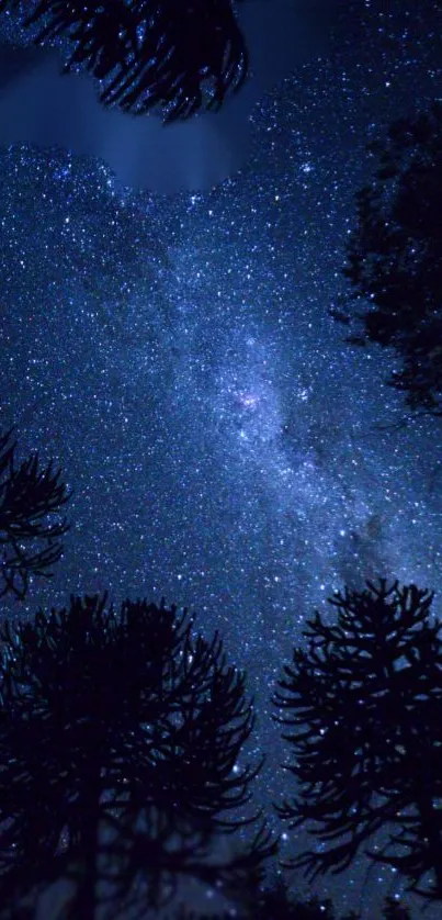 Starry night sky with silhouetted trees in a dark blue hue.